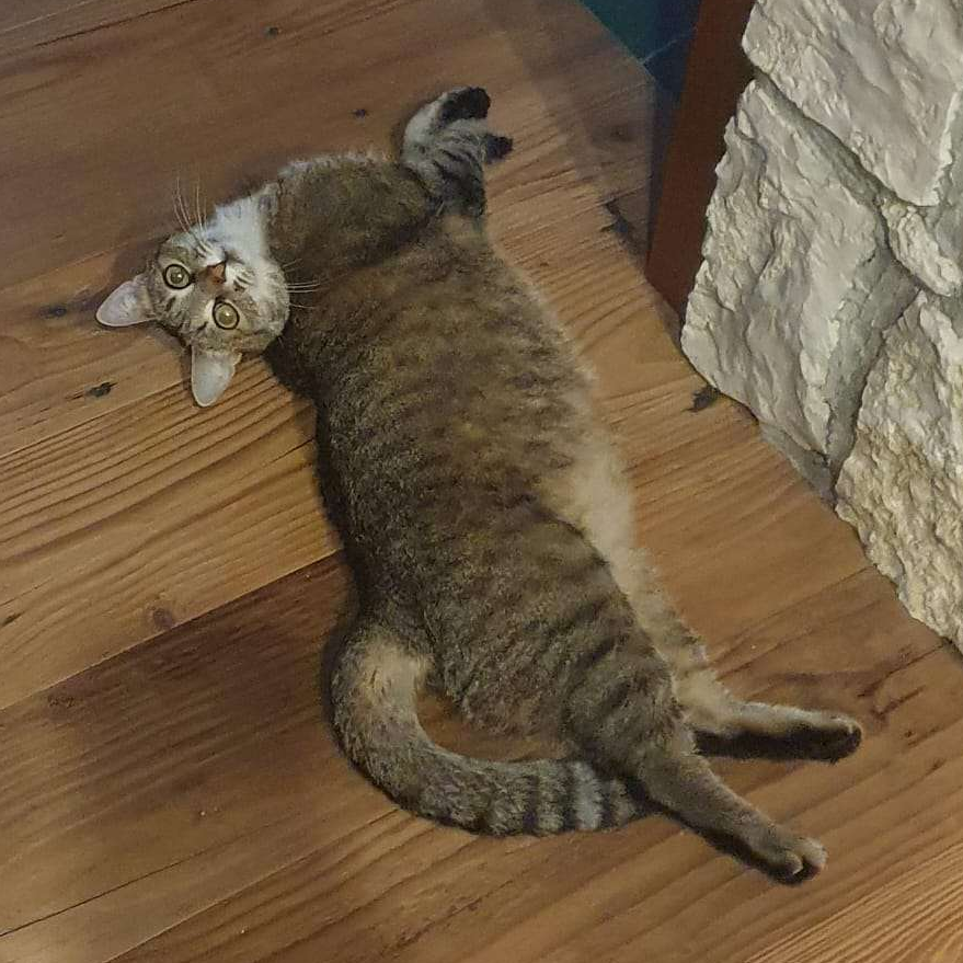 Molly